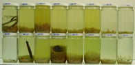 sample jars