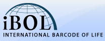 ibol logo