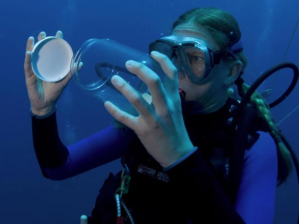bluewater diver collecting zooplankton