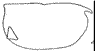 ostracod